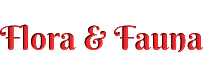 flora & fauna banner